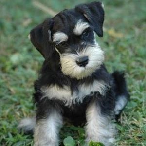 Meet your Posher, Leah